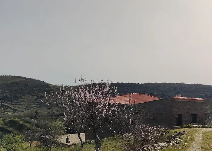 Eira Da Fraga