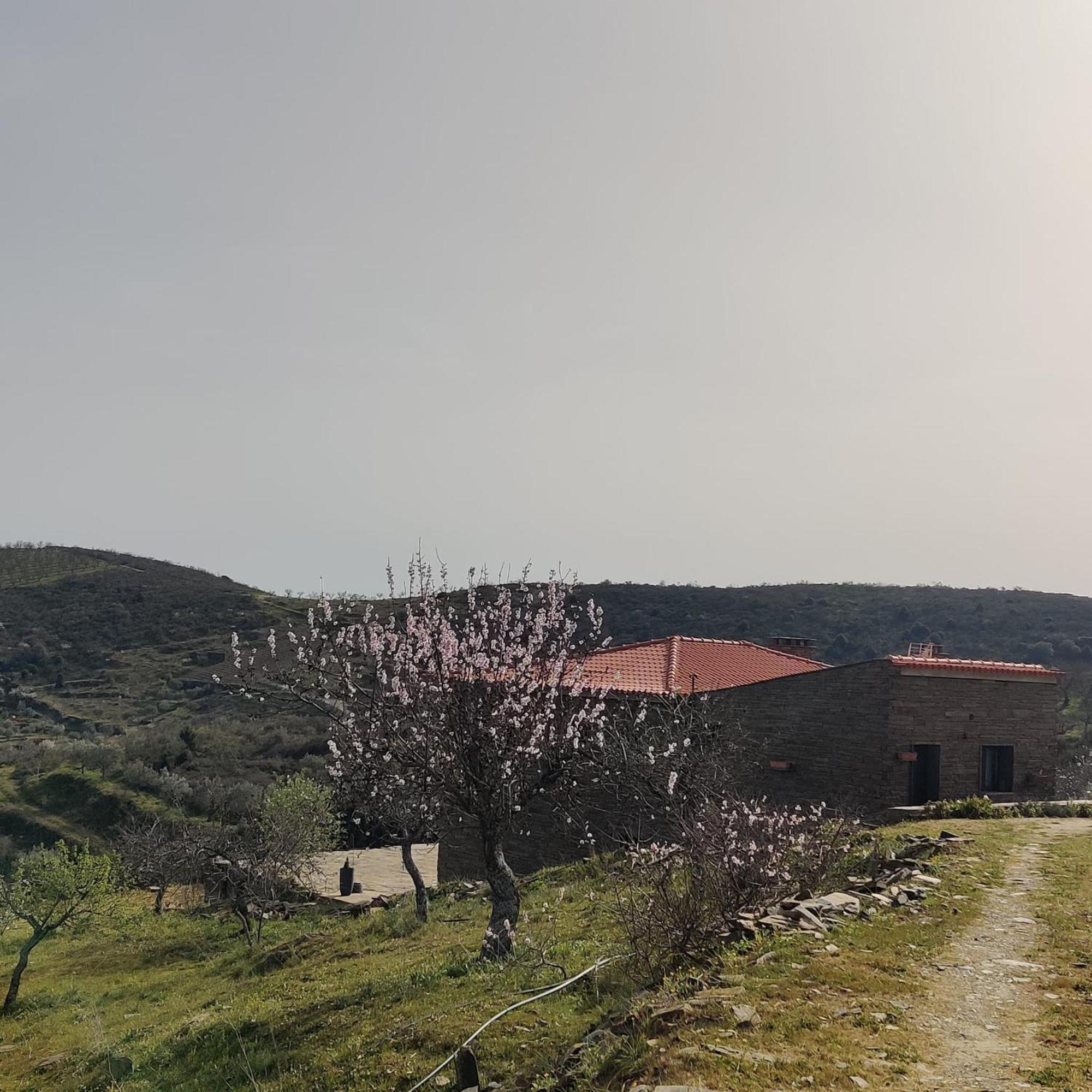 Eira Da Fraga *